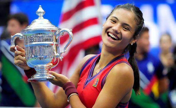 力的年轻球 力的年轻球