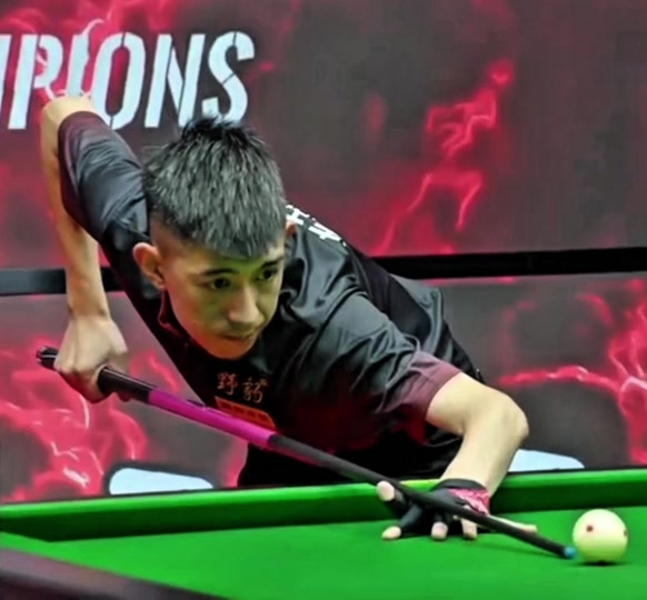 履历颇具含 履历颇具含