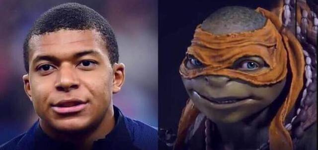 ay ay